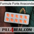 Anaconda Strong Formula 26